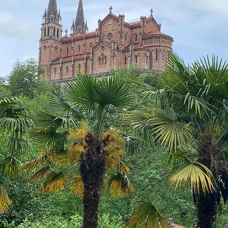 Corazon Cangues Vut2306as *