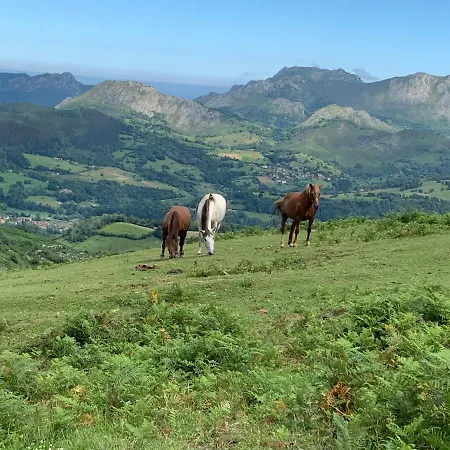 Corazon Cangues Vut2306as Onís